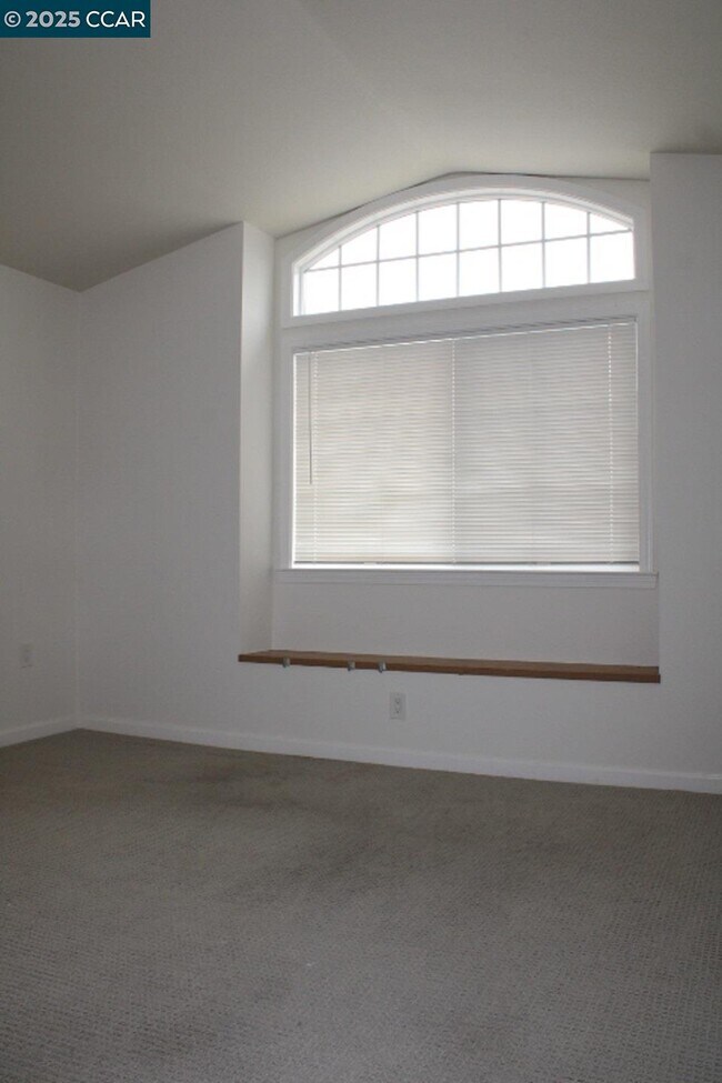 Building Photo - 247 Catalina Dr