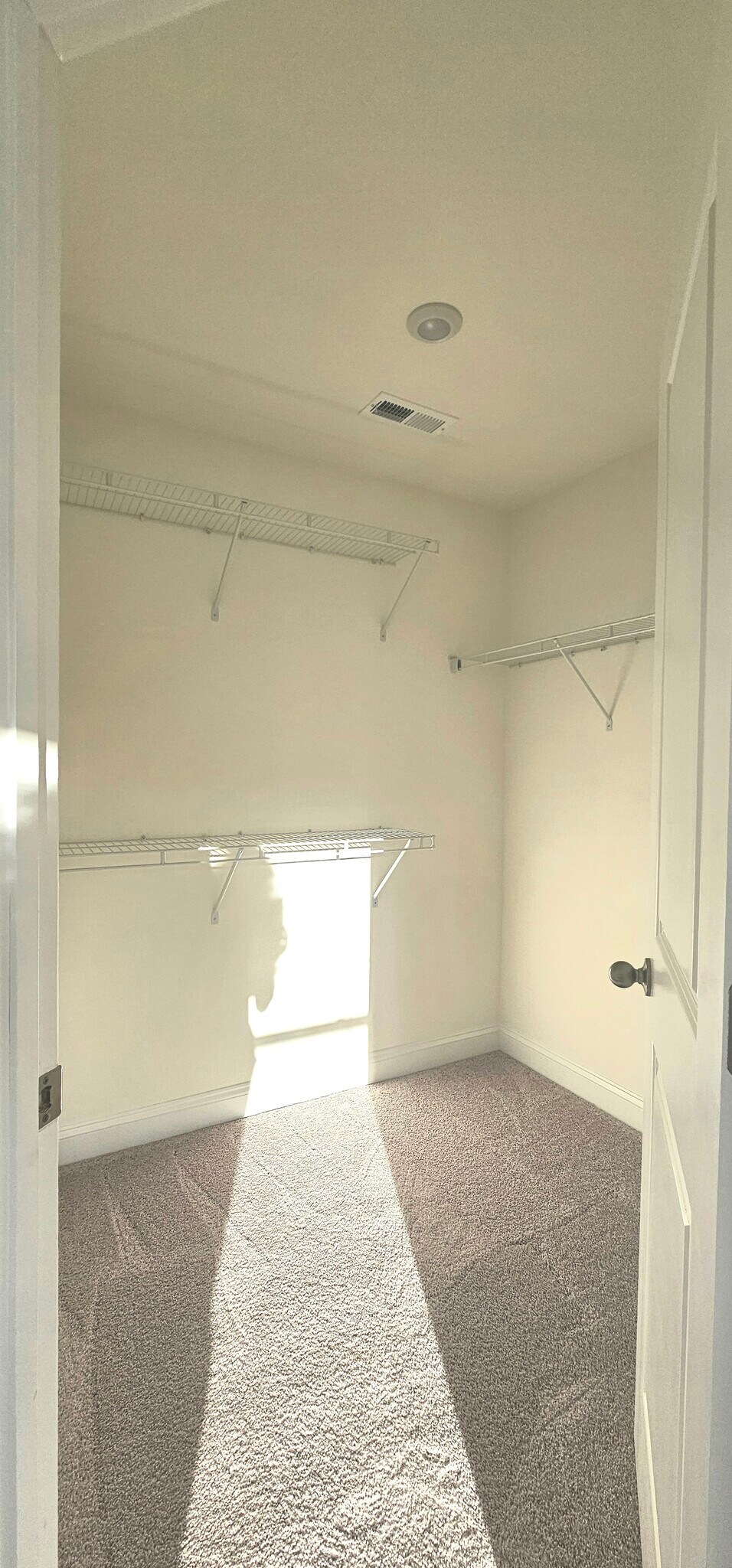 Building Photo - 1534 Cedar Tree Dr