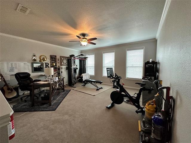 Building Photo - 1609 Meadow Trail Ln