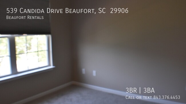 Building Photo - 539 Candida Dr