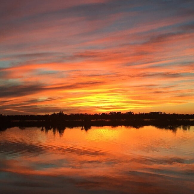 Building Photo - 34 Morning Star Ave