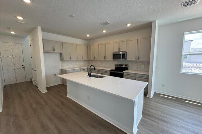 Building Photo - BRAND NEW 4-Bedroom in Saint Cloud!
