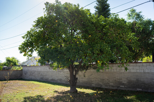 Building Photo - 4412 W Verdugo Ave