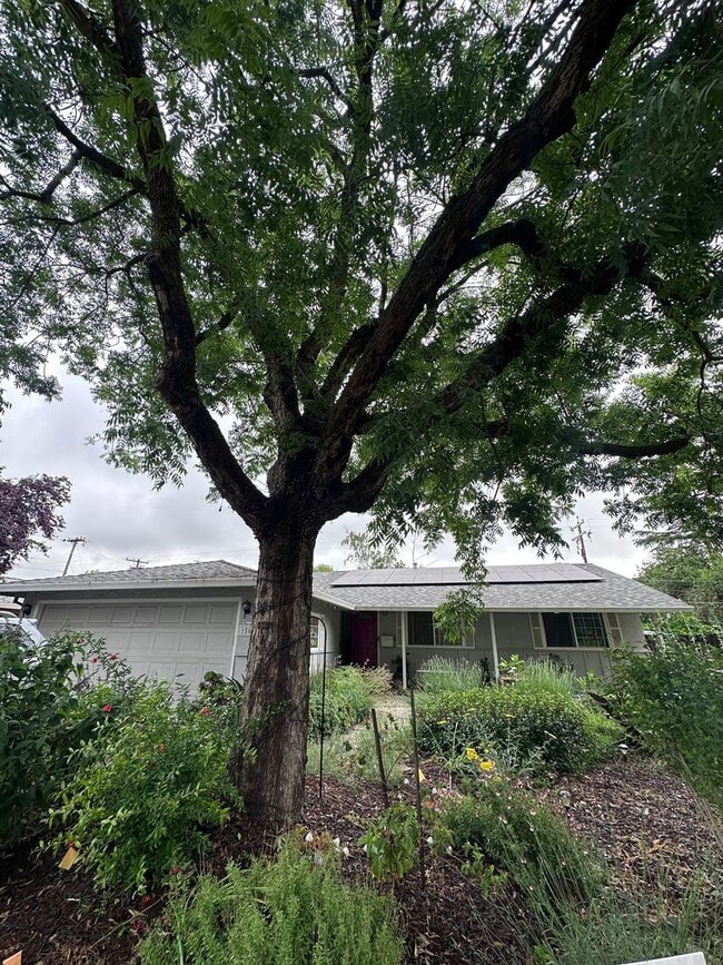 Building Photo - 1506 Manzanita Ln