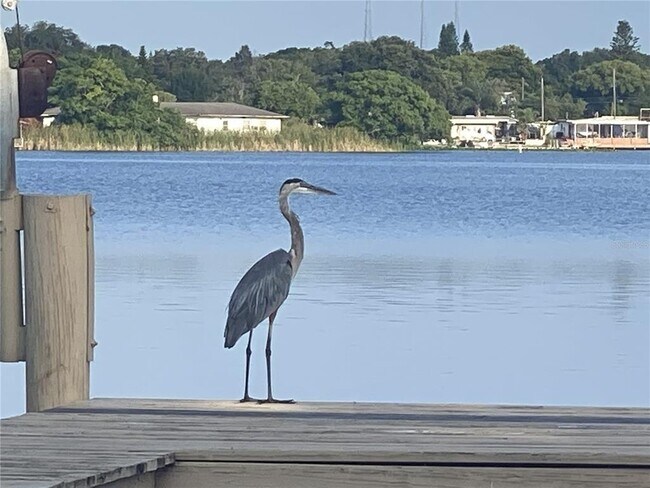 Building Photo - 11314 Harborside Dr