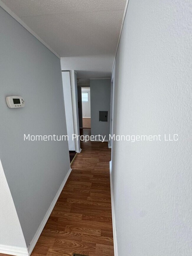 Building Photo - Gorgeous 2/1 in Brooksville! Don't Miss Out!