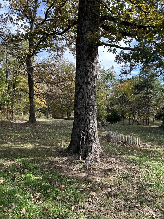 Building Photo - 4918 Harmony Grove Rd