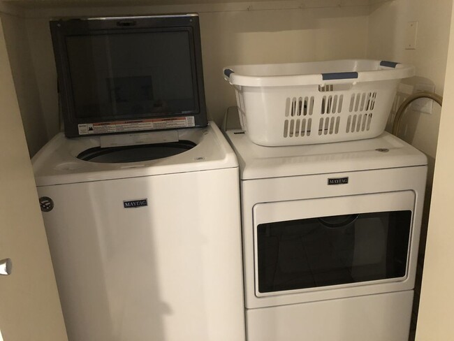 Spacious Brand New Laundry Area - 38613 Wisteria Dr