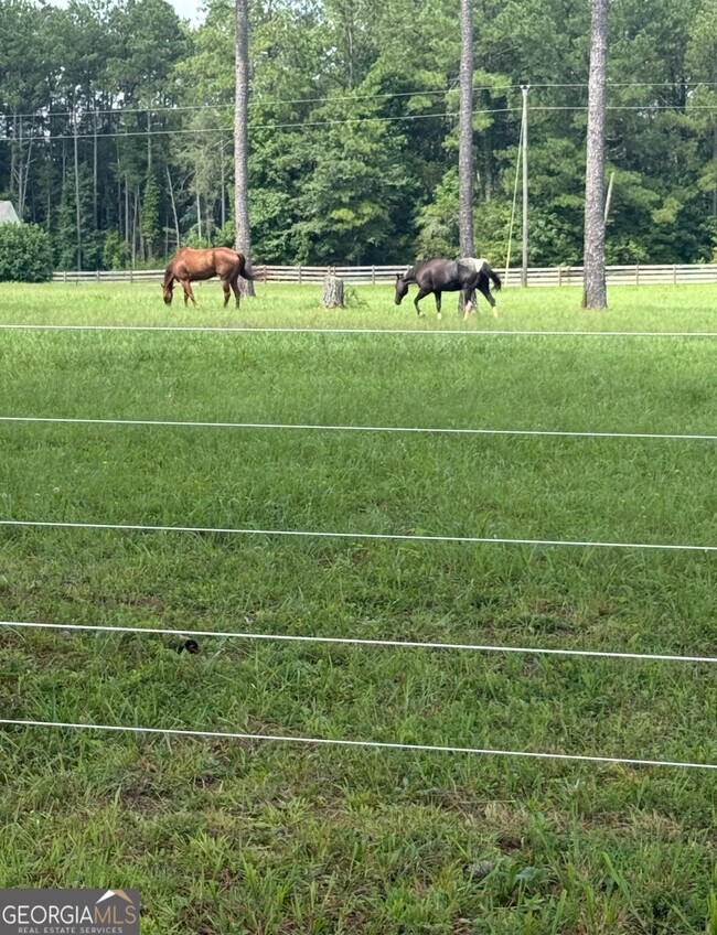 Building Photo - 950 Island Shoals Rd