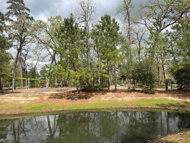 Building Photo - 6 Gentle Branch Pl
