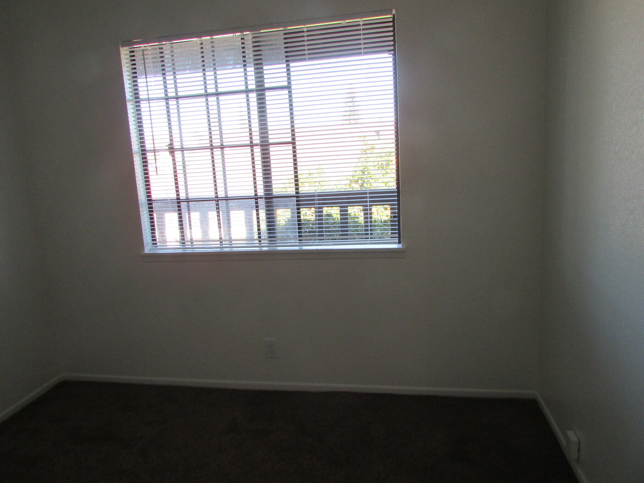 Bedroom 2 - 5271 Bishop St