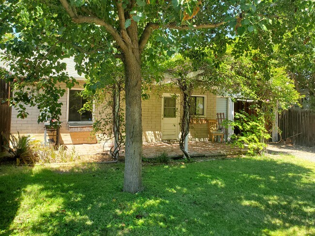 Large front garden with mature trees - 23501 Collins St
