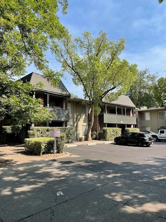 Interior Photo - **RESERVE FOR SUMMER 2026** 2 Bed 1 Bath near Chico State