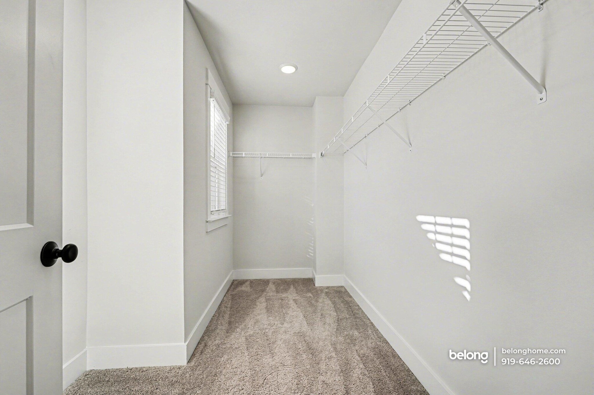 Building Photo - 5013 Moonlight Rdg Dr