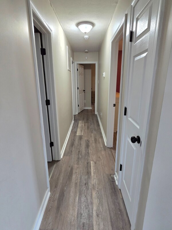 Building Photo - 4612 Raspberry Patch Ln