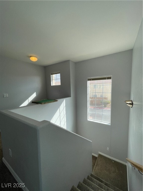 Building Photo - 7481 Catmint St