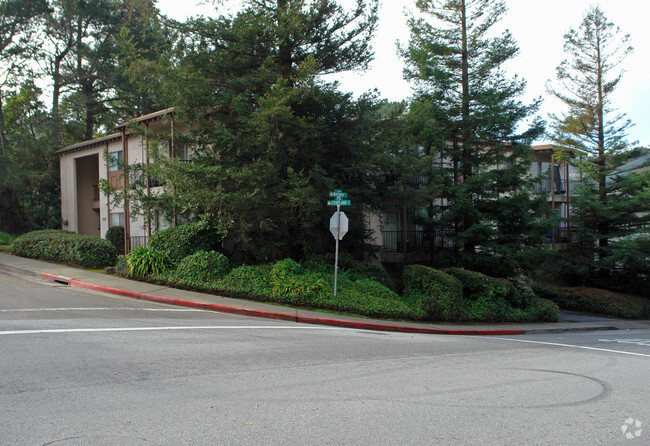 Primary Photo - Courtland Apartments