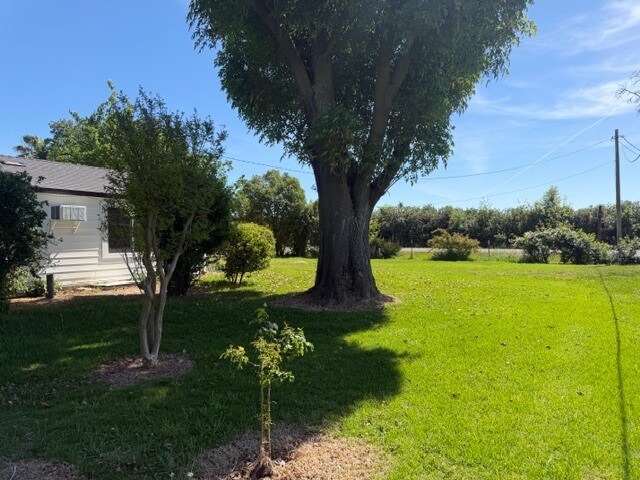 Building Photo - 10861 Live Oak Rd