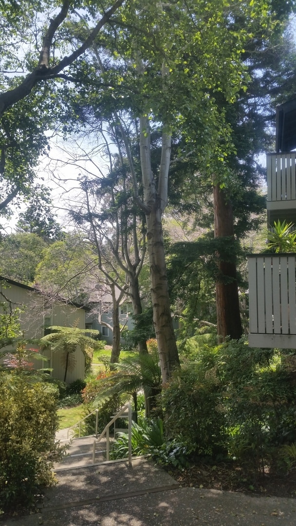 Building Photo - MOVE-IN READY! Peaceful 1-Bedroom Top Floo...