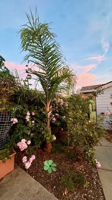 Building Photo - Bright & Spacious 3-Bed, 2.5-Bath Santa Cruz Home Near UCSC with Tranquil Rose Garden Backyard, B...