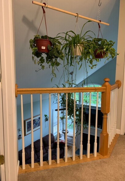 Building Photo - 107 Wheat Field Terrace