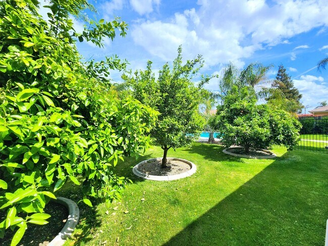 Building Photo - Beautiful home with paid Solar in Seven Oaks!