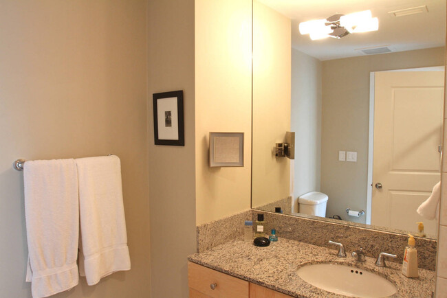 Bathroom with lighted magnifying vanity mirror, shower and tub to the right - 3338 Peachtree Rd NE