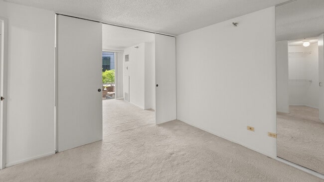Building Photo - 480 N McClurg Ct