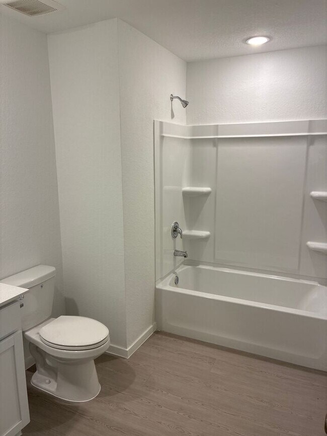 Building Photo - Charming 4 beds 2 baths in San Antonio!