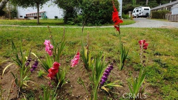 Building Photo - 4611 Central Ave