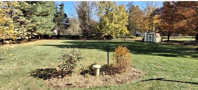 Building Photo - Cozy 3BR House in Elizabethtown