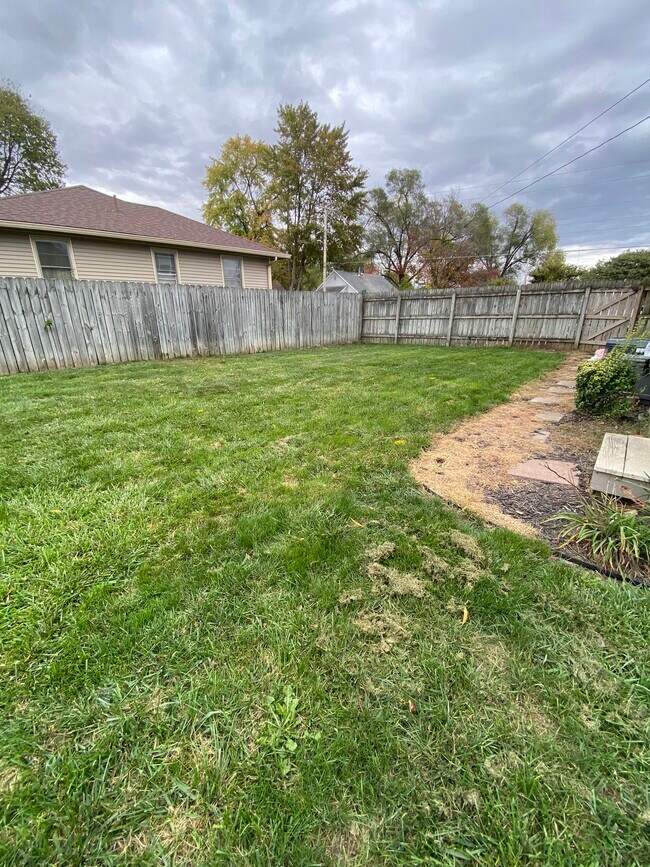 Backyard - 254 Oak St