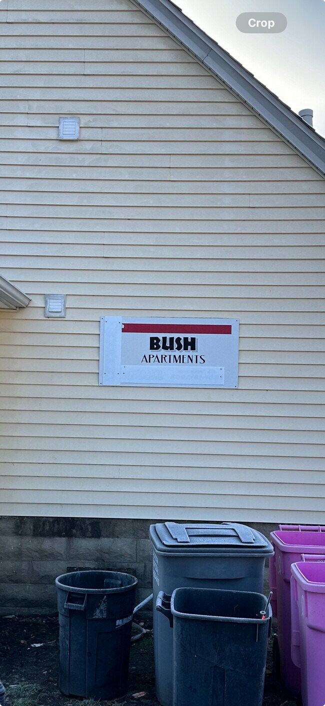 Primary Photo - Bush Apartments