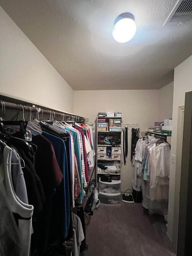 Building Photo - 3419 Selene Dr