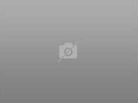 Building Photo - 1530 S Hayworth Ave