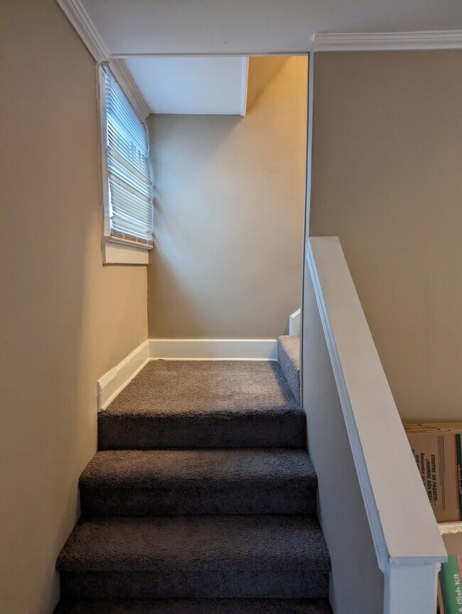 Stair landing. - 1042 Cameron St