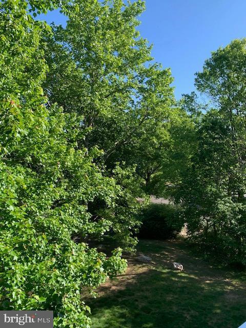 Building Photo - 7701 Lexton Pl