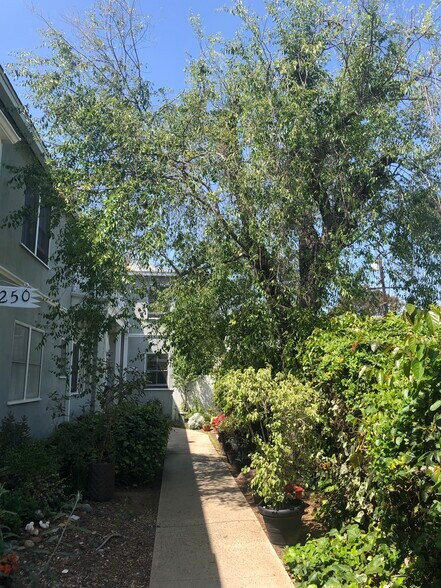 Building Photo - 1250 Franklin St