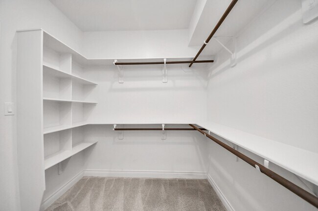 Building Photo - 4218 Bald Cypress Ct