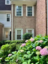 Building Photo - 10484 Parthenon Ct