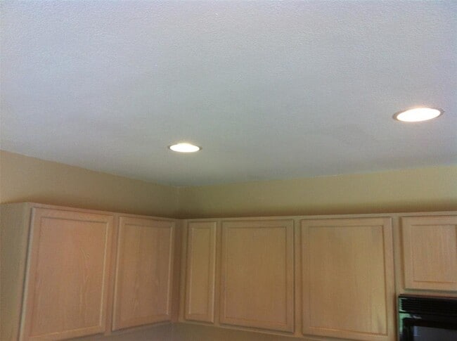 Building Photo - 4406 Cisco Valley Dr