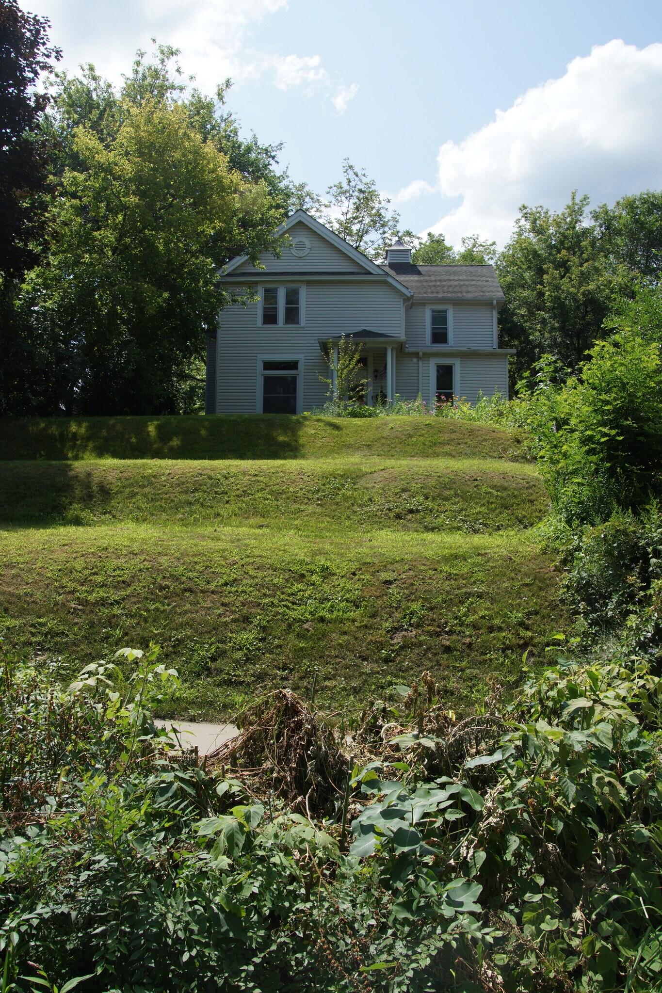 Street view. - 1020 Burns Ave