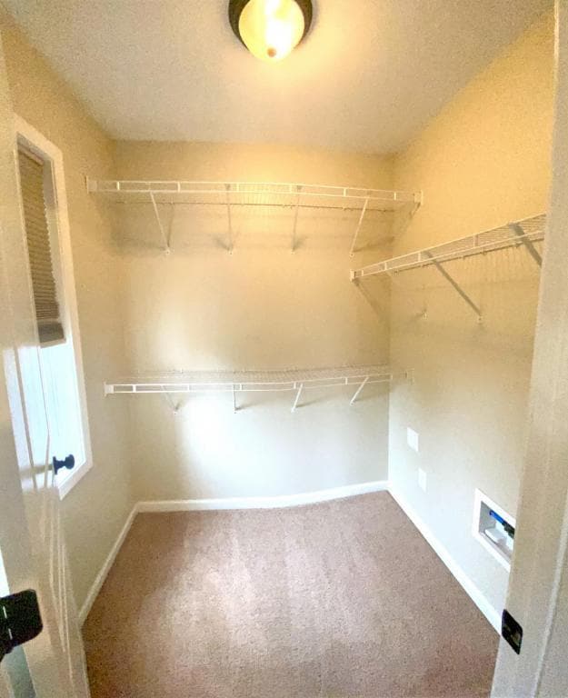 Building Photo - 4005 Princess Amelia Ln