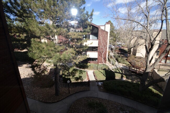 Building Photo - Large 1 Bedroom 1 bath with Loft!