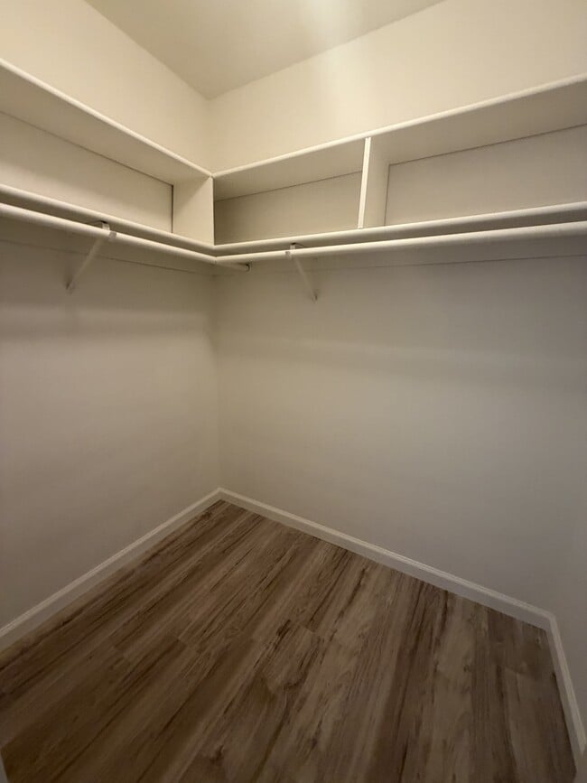 Building Photo - 844 Stetson Way
