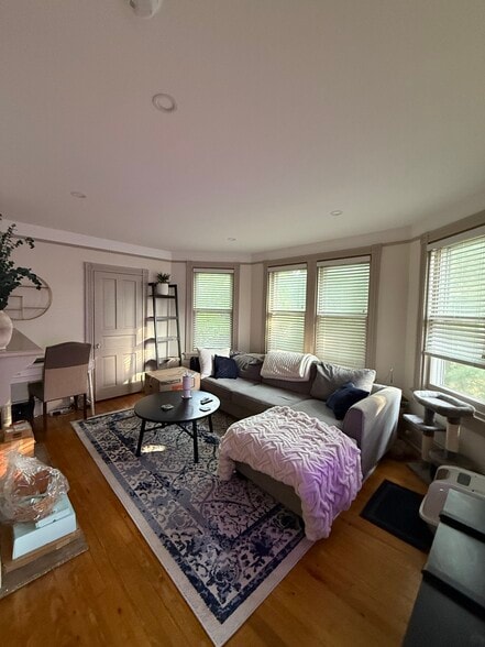 Living room - 207 Cricket Ave