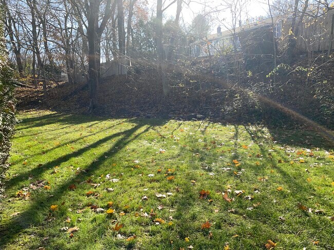 Back Yard - 236 Old Forge Rd
