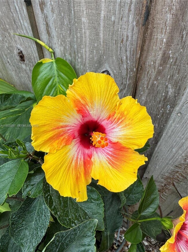 Building Photo - 2306 Liberty St