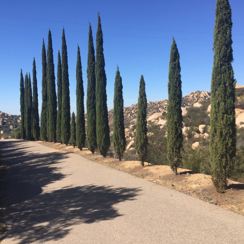 Building Photo - 18988 Via Pamela