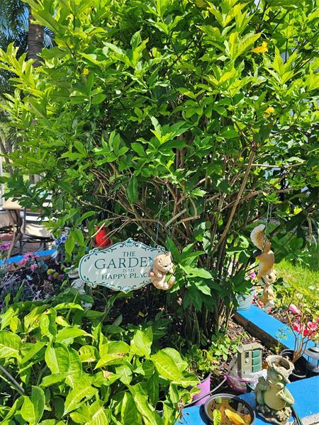 Building Photo - 147 Salisbury G